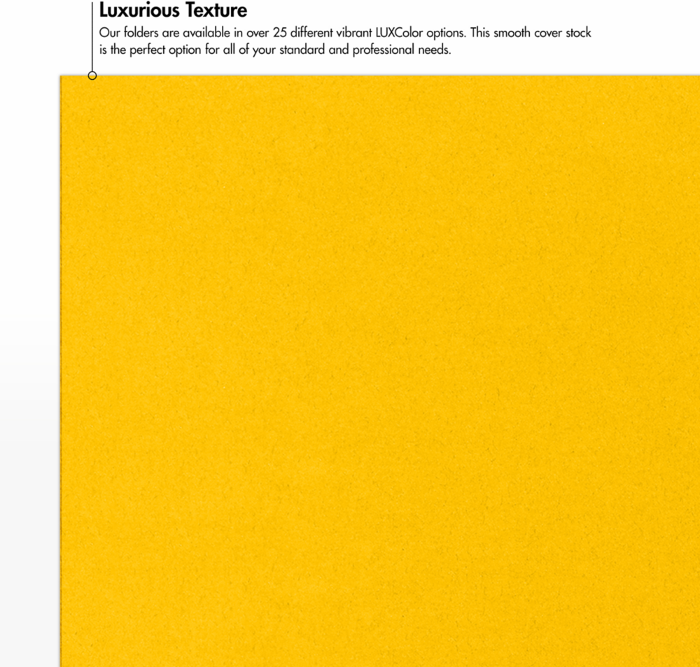 Sunflower Yellow 9 x 12 Matte Folders