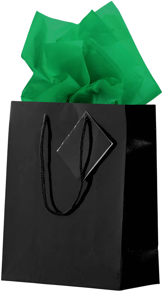 Black/Green Medium Glossy Gift Bags (8 x 10 x 4) (3 Pack) with Tissue Paper (10 Pack)