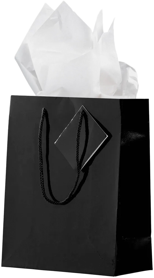 Black/White Medium Glossy Gift Bags (8 x 10 x 4) (3 Pack) with Tissue Paper (10 Pack)