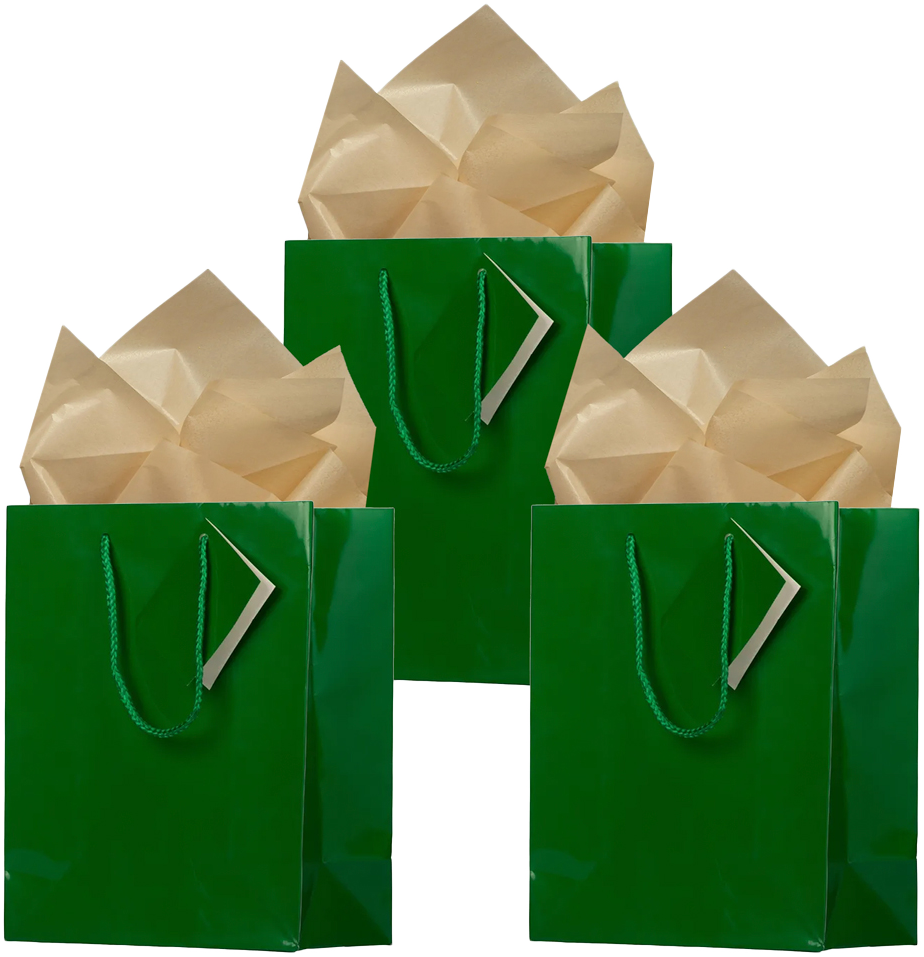 Green/Gold Medium Glossy Gift Bags (8 x 10 x 4) (3 Pack) with Tissue Paper (10 Pack)