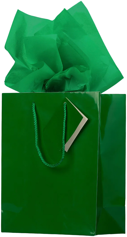 Green Medium Glossy Gift Bags (8 x 10 x 4) (3 Pack) with Tissue Paper (10 Pack)