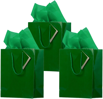 Green Medium Glossy Gift Bags (8 x 10 x 4) (3 Pack) with Tissue Paper (10 Pack)
