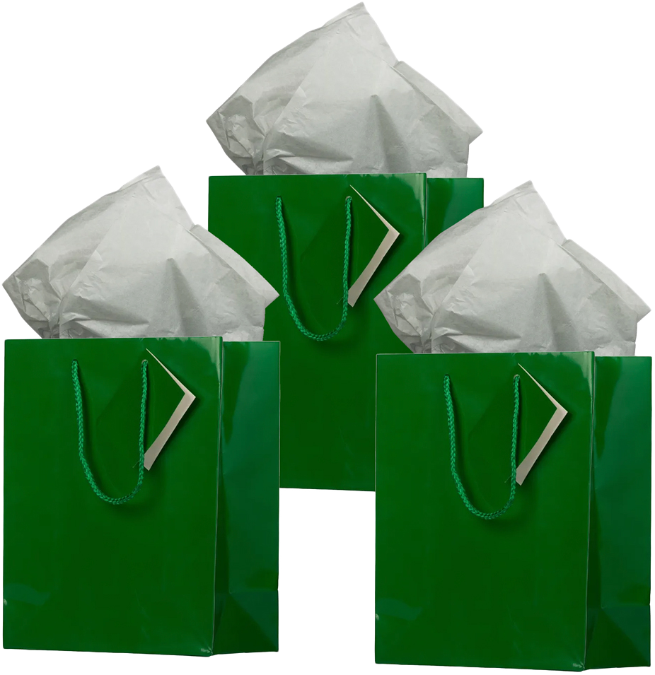 Green/Gray Medium Glossy Gift Bags (8 x 10 x 4) (3 Pack) with Tissue Paper (10 Pack)