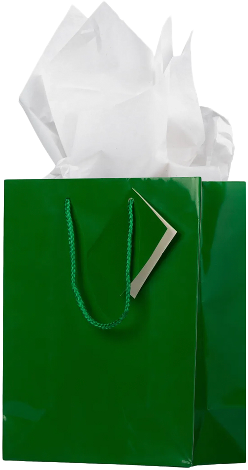 Green/White Medium Glossy Gift Bags (8 x 10 x 4) (3 Pack) with Tissue Paper (10 Pack)