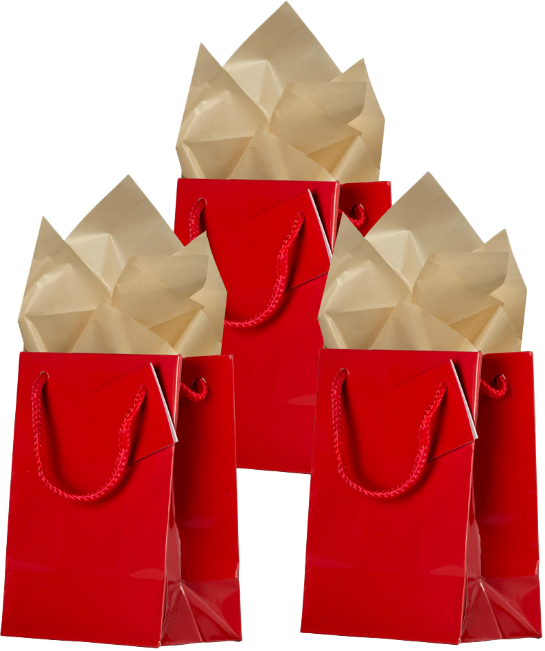 Red/Gold Medium Glossy Gift Bags (8 x 10 x 4) (3 Pack) with Tissue Paper (10 Pack)