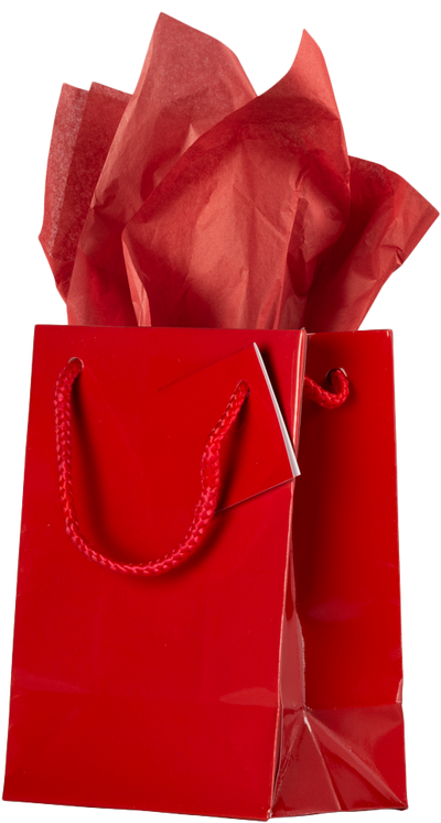 Red Medium Glossy Gift Bags (8 x 10 x 4) (3 Pack) with Tissue Paper (10 Pack)