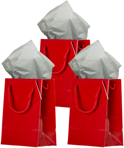 Red/Gray Medium Glossy Gift Bags (8 x 10 x 4) (3 Pack) with Tissue Paper (10 Pack)