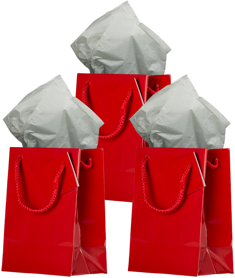 Red/Gray Medium Glossy Gift Bags (8 x 10 x 4) (3 Pack) with Tissue Paper (10 Pack)