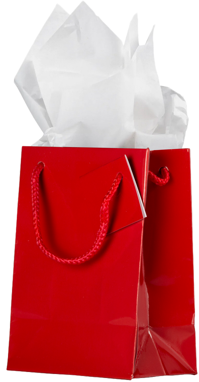 Red/White Medium Glossy Gift Bags (8 x 10 x 4) (3 Pack) with Tissue Paper (10 Pack)