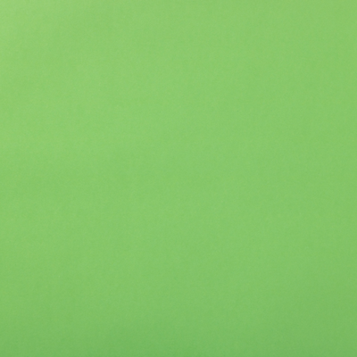 Lime Green Matte Wrapping Paper Set (100 Sq Ft) - 4 Rolls