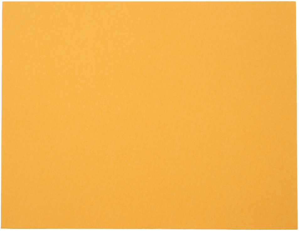 Brown Kraft 40lb 10 x 13 Booklet Envelopes with Peel & Seal