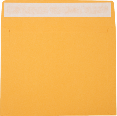 Brown Kraft 40lb 10 x 13 Booklet Envelopes with Peel & Seal