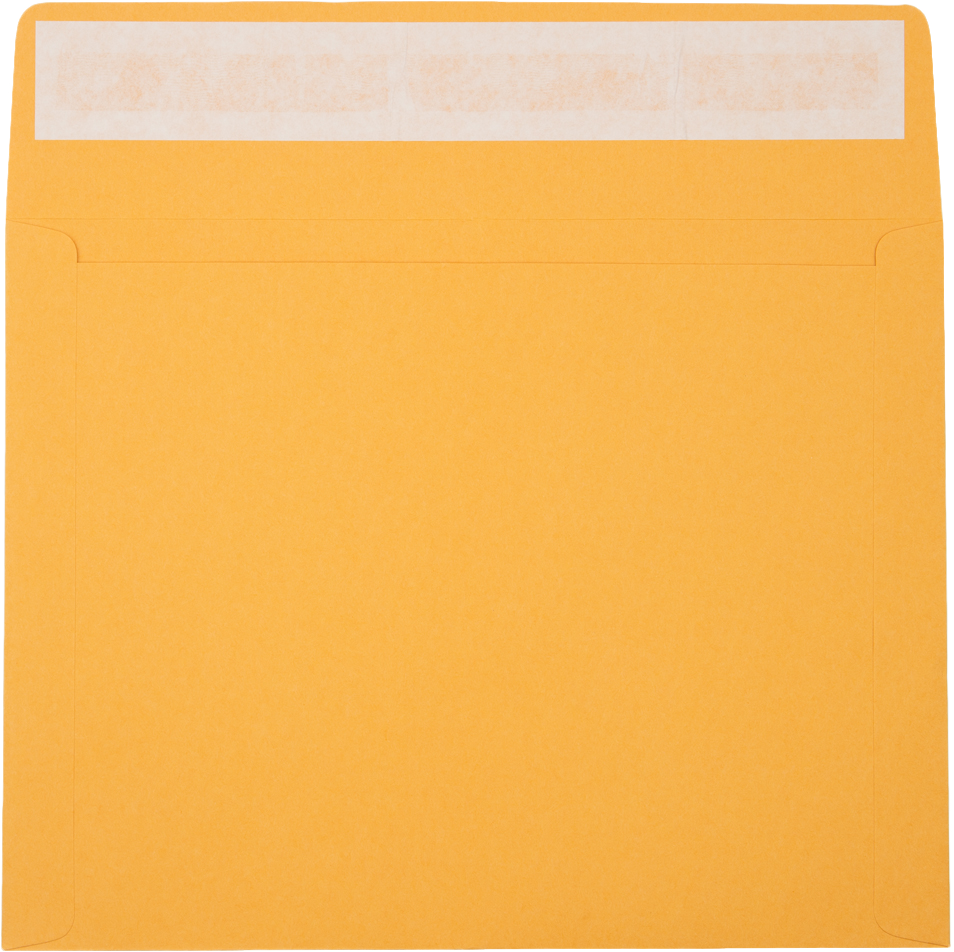 Brown Kraft 40lb 10 x 13 Booklet Envelopes with Peel & Seal