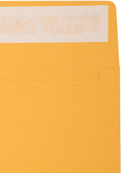 Brown Kraft 40lb 10 x 13 Booklet Envelopes with Peel & Seal