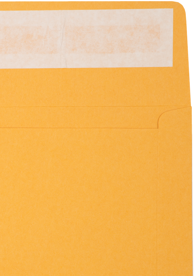 Brown Kraft 40lb 10 x 13 Booklet Envelopes with Peel & Seal