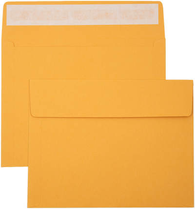 Brown Kraft 40lb 10 x 13 Booklet Envelopes with Peel & Seal