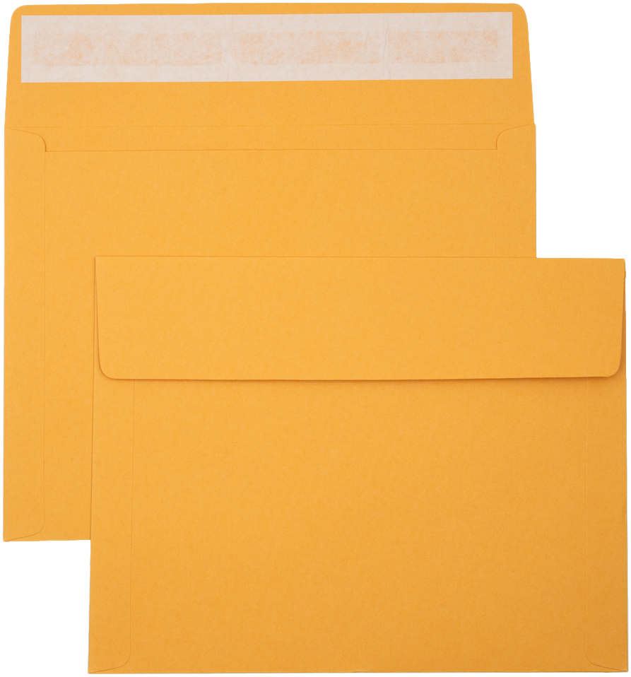 Brown Kraft 40lb 10 x 13 Booklet Envelopes with Peel & Seal