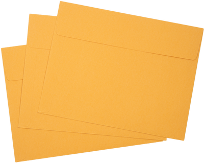 Brown Kraft 40lb 10 x 13 Booklet Envelopes with Peel & Seal