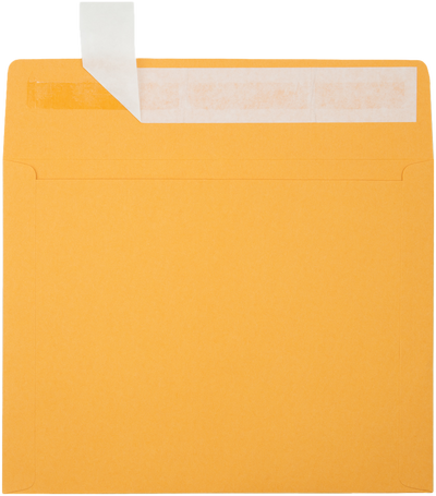 Brown Kraft 40lb 10 x 13 Booklet Envelopes with Peel & Seal