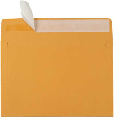 Brown Kraft 40lb 10 x 15 Booklet Envelopes with Peel & Seal