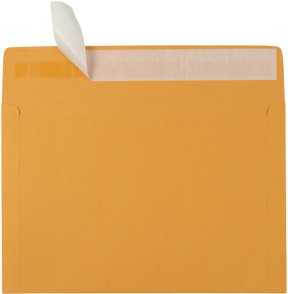 Brown Kraft 40lb 10 x 15 Booklet Envelopes with Peel & Seal