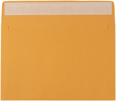 Brown Kraft 40lb 10 x 15 Booklet Envelopes with Peel & Seal