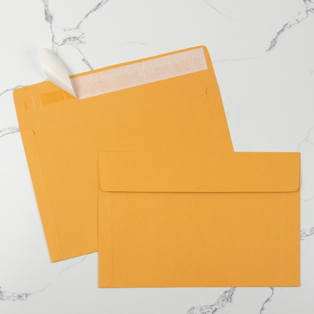 Brown Kraft 40lb 10 x 15 Booklet Envelopes with Peel & Seal