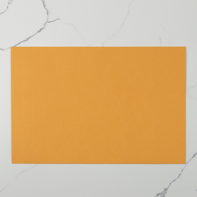 Brown Kraft 40lb 10 x 15 Booklet Envelopes with Peel & Seal