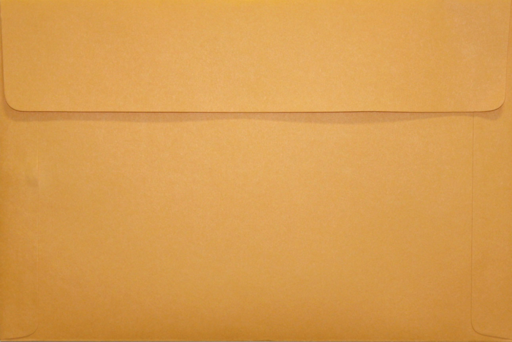 Brown Kraft 40lb 12 x 18 Booklet Envelopes
