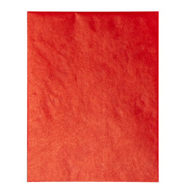 Red Tyvek® 14lb 12 x 15 1/2 Open End Envelopes with Peel and Seal