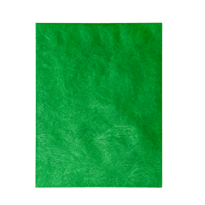 Green Tyvek® 14lb 12 x 15 1/2 Open End Envelopes with Peel and Seal