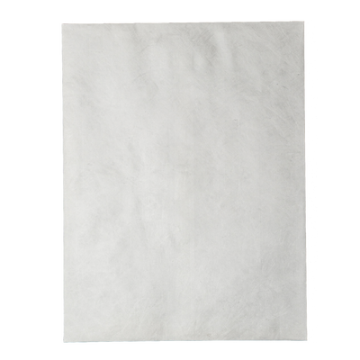 White Tyvek® 14lb 10 x 13 Envelopes with Spot Seal