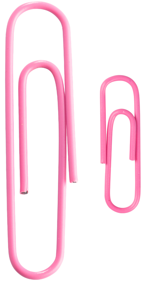 Pink Standard & Jumbo Paper Clips Assortment Pack - 1 Pack Each (175 Clips Total)