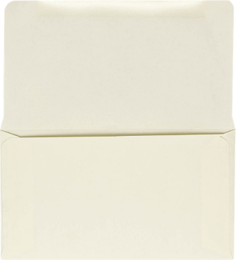Pastel Natural Cream 24lb Remittance Envelopes (3 5/8 x 6 1/2 Closed)