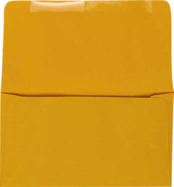 Goldenrod 24lb Remittance Envelopes (3 5/8 x 6 1/2 Closed)