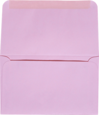 Pastel Pink 24lb Remittance Envelopes (3 5/8 x 6 1/2 Closed)