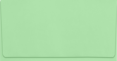 Pastel Green 24lb Remittance Envelopes (3 5/8 x 6 1/2 Closed)