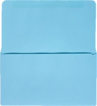 Pastel Blue 24lb Remittance Envelopes (3 5/8 x 6 1/2 Closed)