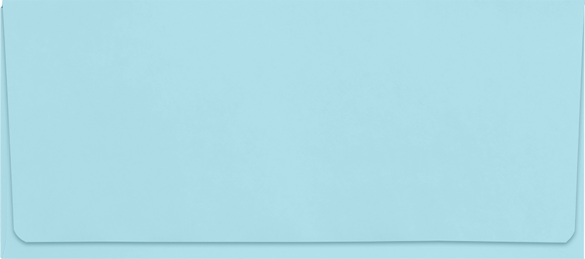 Pastel Blue 24lb Remittance Envelopes (3 7/8 x 8 7/8 Closed)