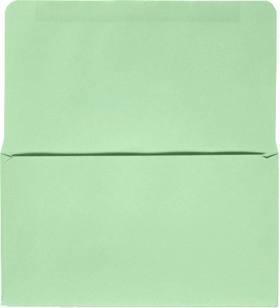 Pastel Green 24lb Remittance Envelopes (3 1/2 x 6 Closed)