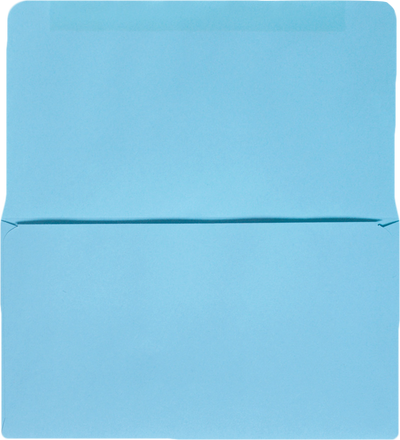 Pastel Blue 24lb Remittance Envelopes (3 1/2 x 6 Closed)