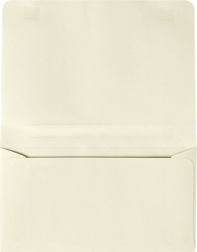 Pastel Natural Cream 24lb 2-Way Remittance Envelopes (4 1/4 x 6 1/2 Closed)