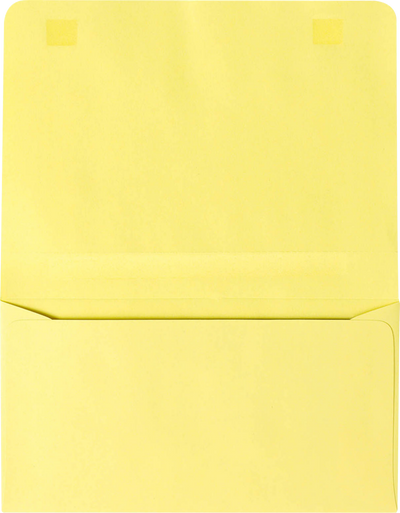 Pastel Canary Yellow 24lb 2-Way Remittance Envelopes (4 1/4 x 6 1/2 Closed)