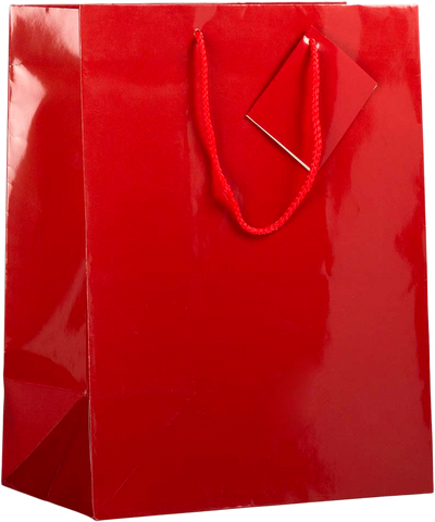 Assorted Large Glossy Gift Bags (10 x 13 x 5) - 6 Pack