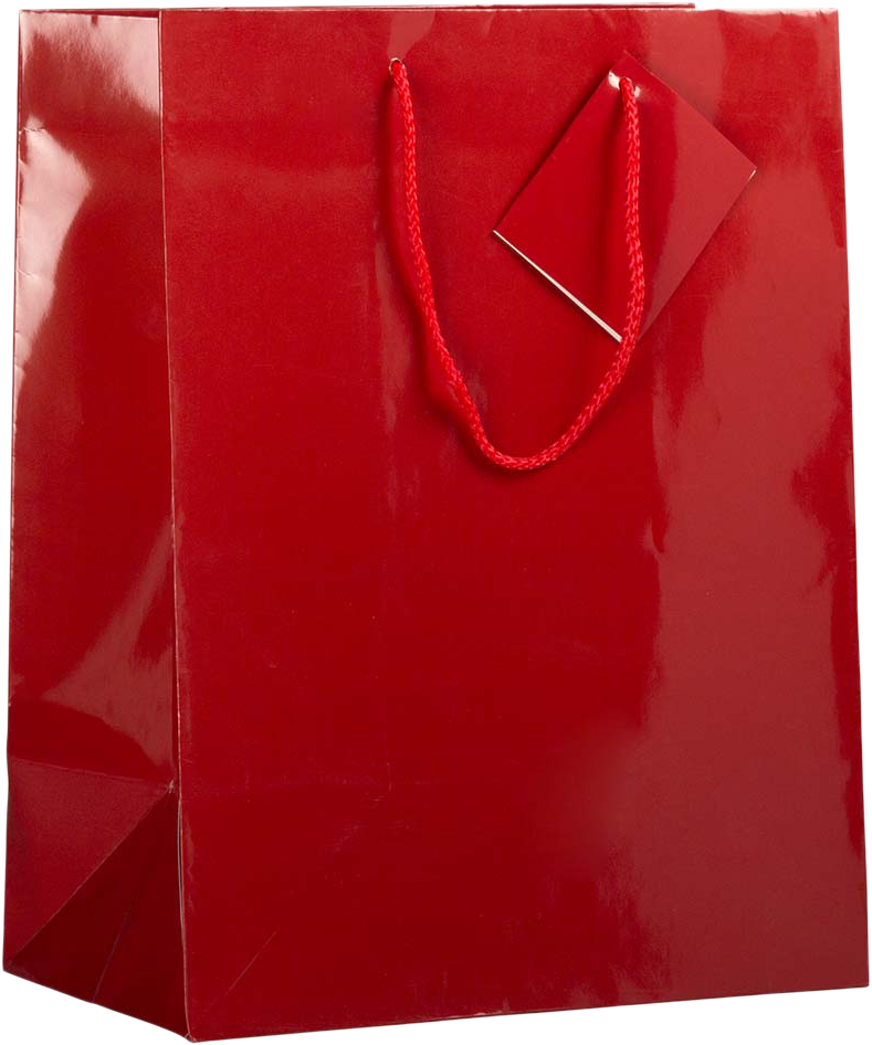 Assorted Large Glossy Gift Bags (10 x 13 x 5) - 6 Pack