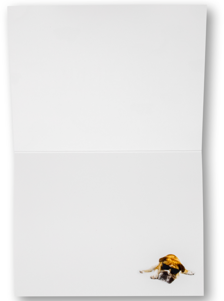 Rachael Hale Dog A7 Thank You Cards - 10 Pack