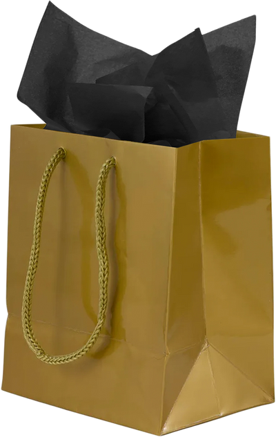 Gold/Black Small Glossy Gift Bags (6 1/2 x 6 1/2 x 3 1/2) (3 Pack) with Tissue Paper (10 Pack)