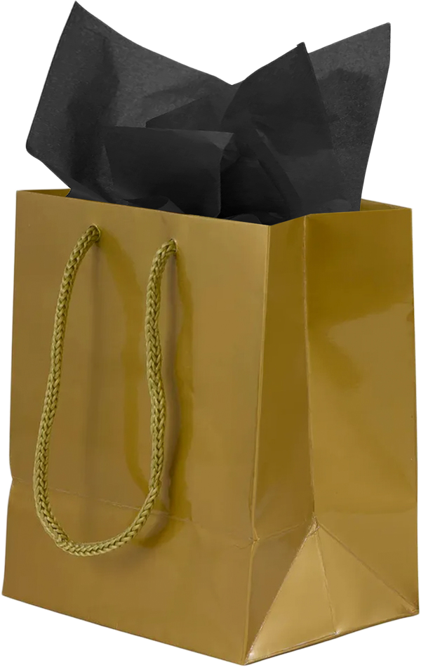 Gold/Black Small Glossy Gift Bags (6 1/2 x 6 1/2 x 3 1/2) (3 Pack) with Tissue Paper (10 Pack)