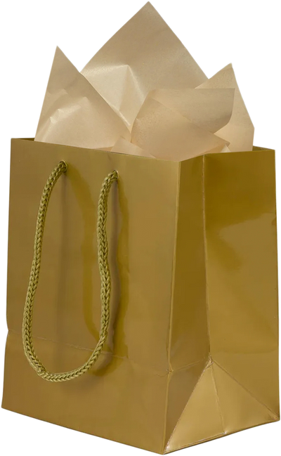 Gold Small Glossy Gift Bags (6 1/2 x 6 1/2 x 3 1/2) (3 Pack) with Tissue Paper (10 Pack)