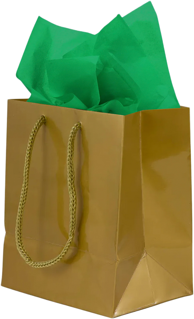 Gold/Green Small Glossy Gift Bags (6 1/2 x 6 1/2 x 3 1/2) (3 Pack) with Tissue Paper (10 Pack)